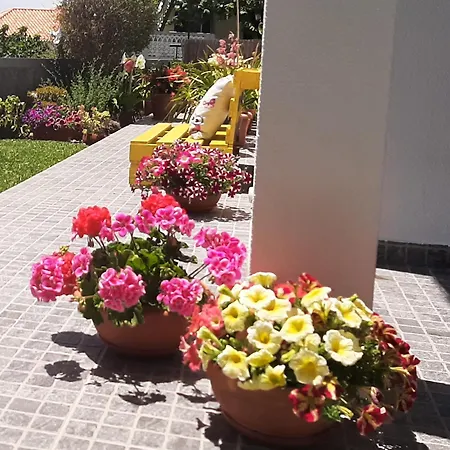 Casa Ventura Holiday home Arco da Calheta (Madeira)