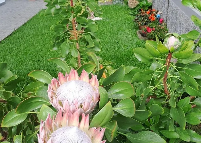 Prázdninový dům Casa Ventura *