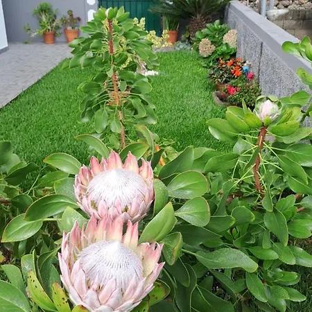 Nyaraló Casa Ventura *