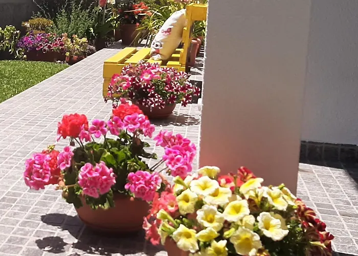 Casa Ventura Casa vacanze Arco da Calheta (Madeira)